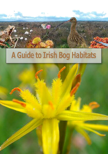 Click here to download A Guide to Irish Bog Habitats.